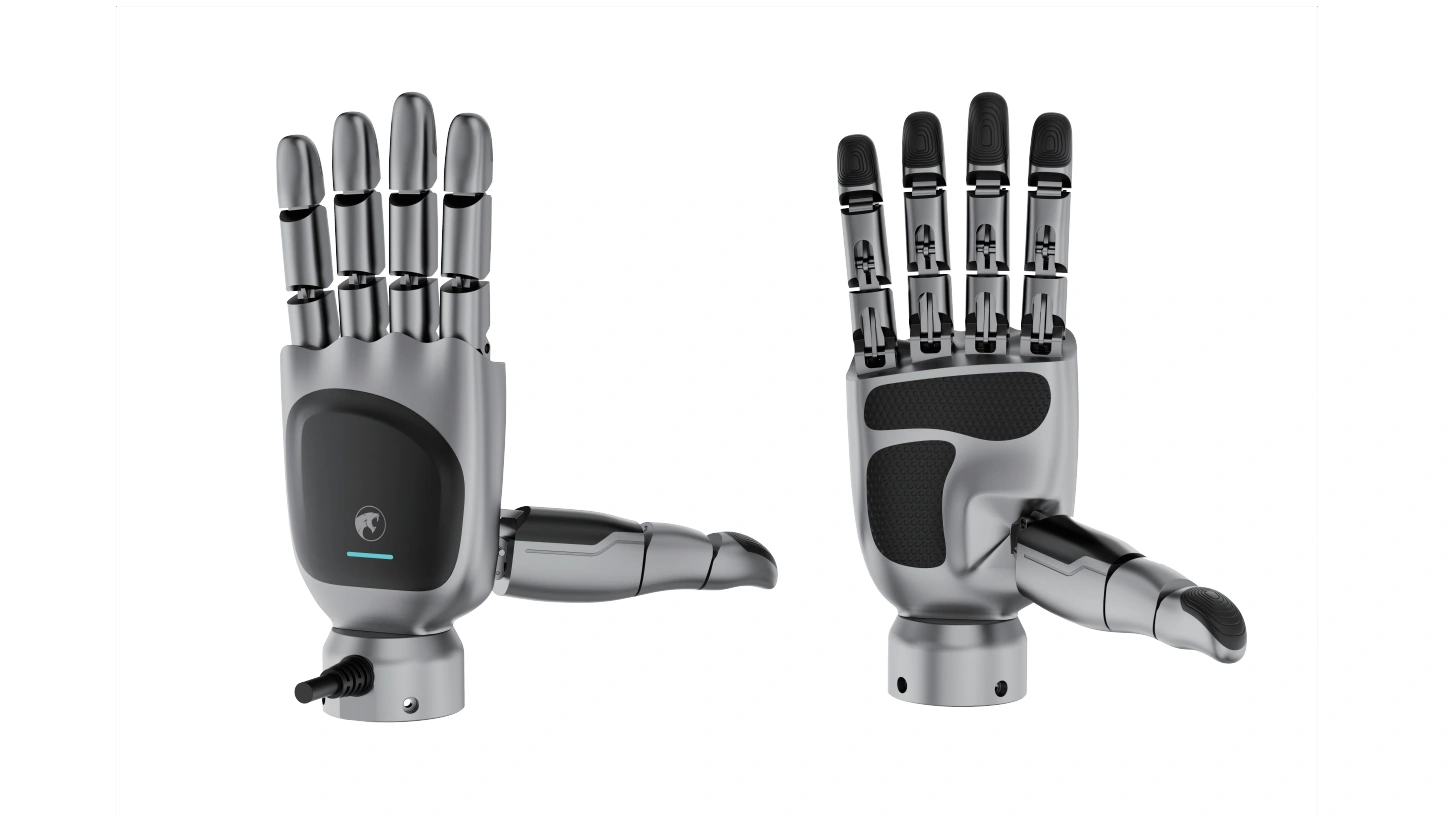 eHand-6 灵巧手，eHand-6 手册产品图 · 手背与掌侧视图